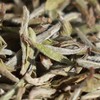 懂茶帝-管阳高山云雾村官甄选2022年雪后荒野白毫银针50g 商品缩略图1