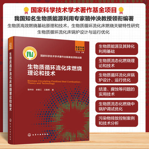 生物质循环流化床燃烧理论和技术 商品图0