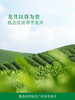 MM 山姆 东方树叶 冷萃龙井茶 335ml*8 商品缩略图7