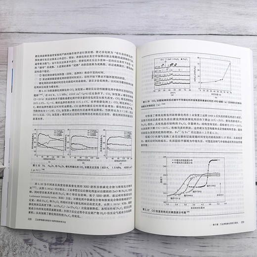 工业多相催化剂设计与研究的科学方法 商品图2