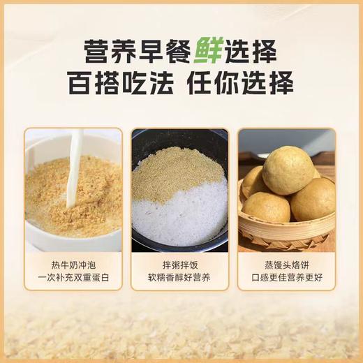 田陌上富硒黄金小麦胚芽 植物燕窝 高纤高蛋白 冲泡即食 商品图5