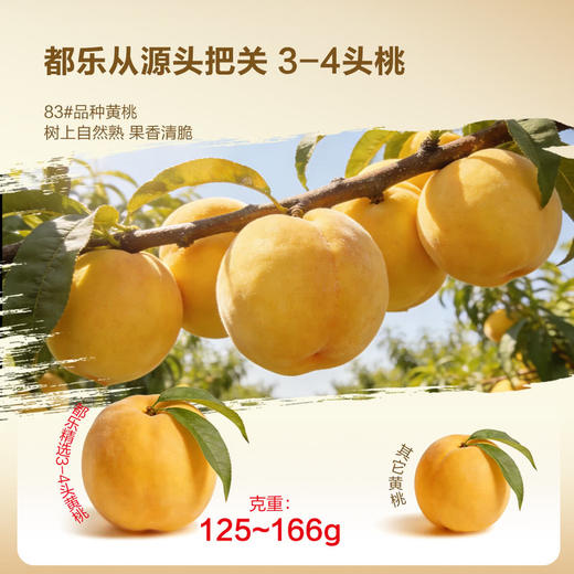 MM 山姆 都乐果汁黄桃罐头 2.4kg（1.2kg*2） 商品图3