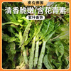 密云现砍紫叶香笋400g  火锅食材   口感清香莴笋青笋 商品缩略图0