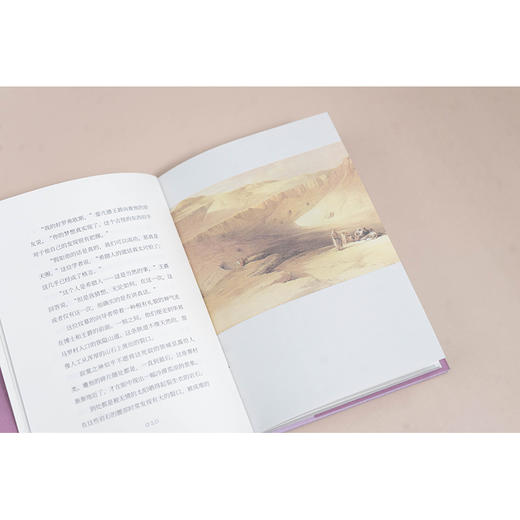 木乃伊恋史   [法]泰奥菲尔·戈蒂耶 著 叶灵凤 译 李广宇 编  法律出版社 商品图4