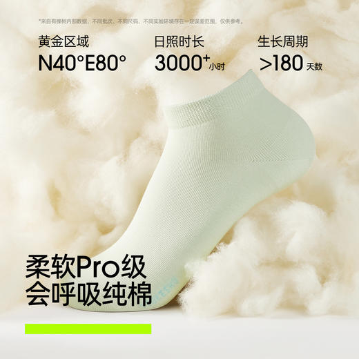 【10A抗菌】有棵树10A抗菌纯棉防臭防滑女士短袜5双装-S4055E 商品图2