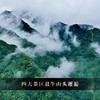 5月11日中午12点【数量过半！！】【八方来财】2026年春茶预售福利四大茶区蕞牛山头完美邂逅 放弃利润 赔钱做半价 500g/砖 每个ID限购10砖 拍5发6 商品缩略图7