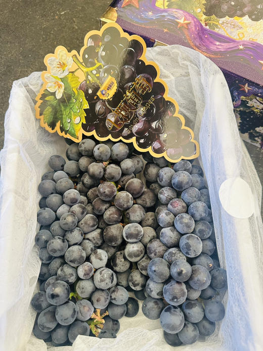 蓝莓葡萄 商品图3