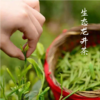 【2026年采摘新茶】杭州野放茶园龙井茶 100g  绿茶  一芽一叶 荒野韵味 生态龙井  夏天喝 自然清凉 商品缩略图4