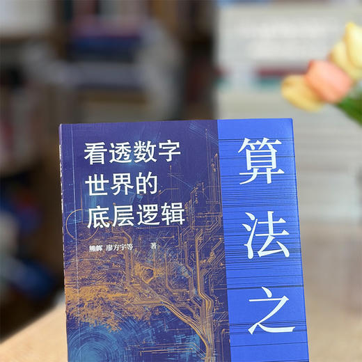算法之问：看透数字世界的底层逻辑 商品图11