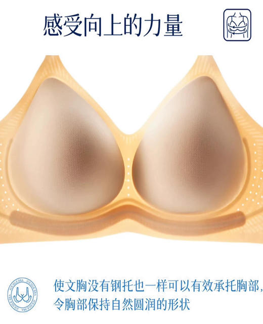 超强三重托杯文胸内衣 商品图5