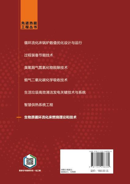 生物质循环流化床燃烧理论和技术 商品图3