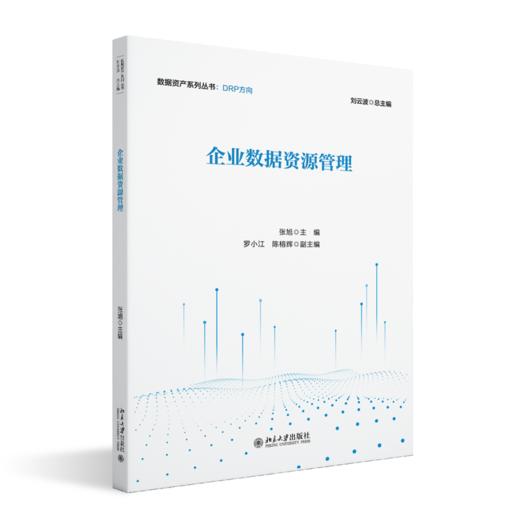企业数据资源管理 数据资产系列丛书 张旭 北京大学出版社 商品图0