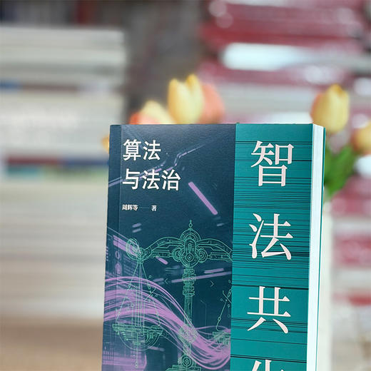 智法共生：算法与法治 商品图7