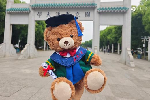 武大珞珈毕业熊学位熊【赠专属礼品袋】 商品图1
