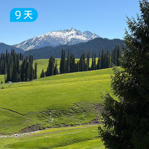 伊犁60公里经典徒步｜深度体验新疆伊犁三大草原精华路线 9日 商品图9