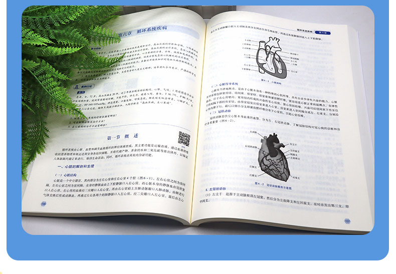 科普1---蓝_06.jpg