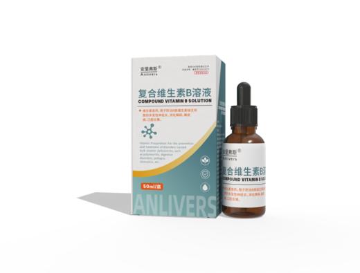 安里弗斯 复合维生素B溶液50ml/瓶，维生素类药。效期：20280328，用于防治B族维生素缺乏所致的多发性神经炎、消化障碍、癞皮病、口腔炎等。 商品图0