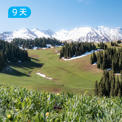 伊犁60公里经典徒步｜深度体验新疆伊犁三大草原精华路线 9日 商品图6