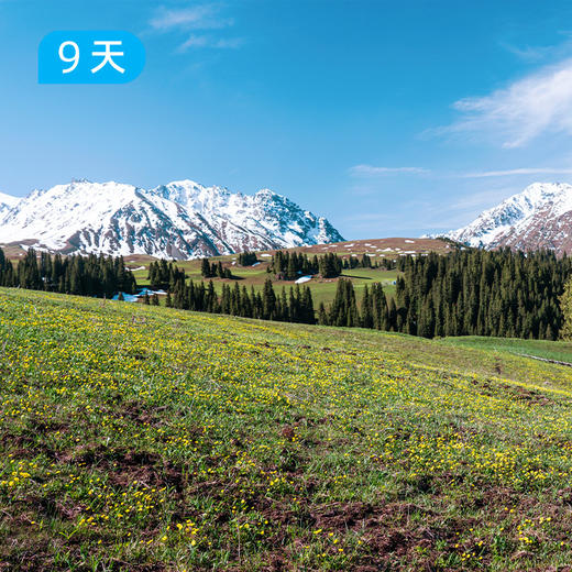 伊犁60公里经典徒步｜深度体验新疆伊犁三大草原精华路线 9日 商品图2