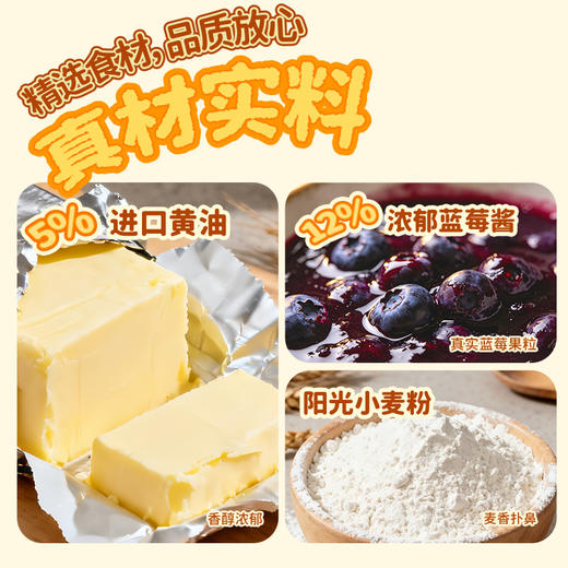 一只小叉叉黄油蓝莓包400g 商品图2