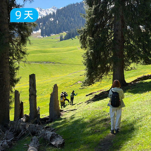 伊犁60公里经典徒步｜深度体验新疆伊犁三大草原精华路线 9日 商品图3