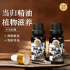 高山当归活络按摩精油 女性暖暖活络身体  揉腹刮痧经络身体油40ml（20ml*2瓶）*3套 商品缩略图0