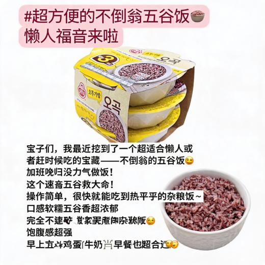 韩国不倒翁五谷速食米饭-（210g*3盒） 商品图2