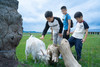暑期游学【北京+乌兰布统+承德】亲子6日，故宫、天坛、天安门、老胡同、承德金山岭长城、乌兰布统草原音乐会、骑马喂小羊，沉浸式民俗体验【探秘京蒙】 商品缩略图4