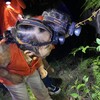 已成团5.23【锦城湖夜探昆虫】常见小动物的形态特征和生活习性，“三有动物”概念和动物保护知识，一起寻找那些只在夜晚出现的“小精灵”！ 商品缩略图5