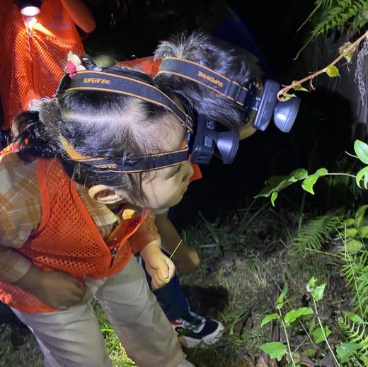 已成团5.23【锦城湖夜探昆虫】常见小动物的形态特征和生活习性，“三有动物”概念和动物保护知识，一起寻找那些只在夜晚出现的“小精灵”！ 商品图5