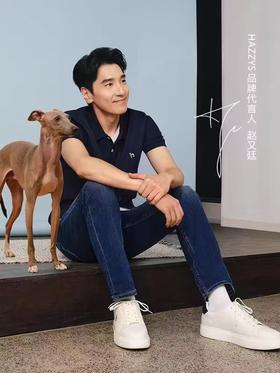 Hazzy哈吉斯经典款春夏新款休闲翻领短袖polo衫
