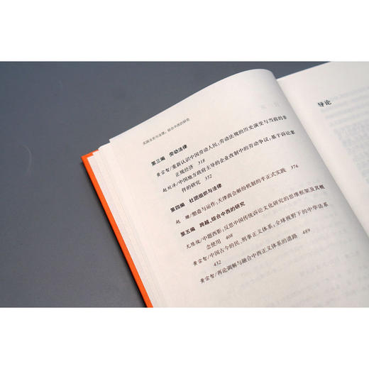 大学问·实践法史与法理：综合中西的研究（跳出西方理论框架，从实践看懂中国法律的过去与未来。） 商品图6