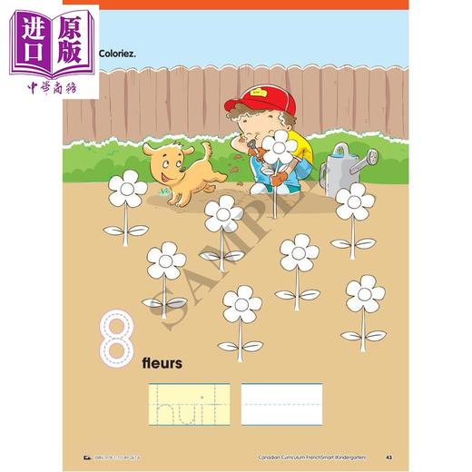 【中商原版】Canadian Curriculum FrenchSmart Kindergarten 加拿大课程法语练习册幼儿园 精华版 词汇积累 语法 阅读 法文原版进口 商品图2
