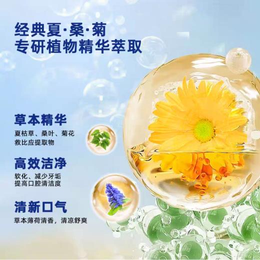 中华老字号白云山出品【白云山白云牙膏系列清爽调护牙膏】非遗凉茶同款配方，口腔灭火器！国货大品牌背书，熬夜上火党闭眼冲~ 商品图4