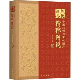 美美与共——中国非物质文化遗产精粹图说