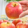 时差佃阿克苏樱桃苹果 商品缩略图3