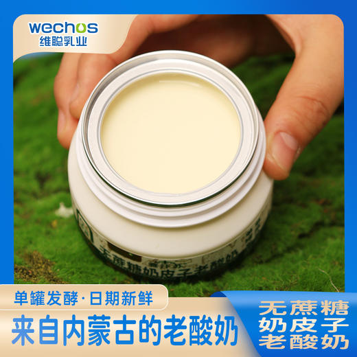赛汗苏无蔗糖奶皮子老酸奶 200g/杯*8 商品图2