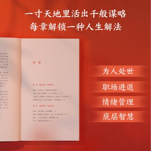 她力量：红楼女性的生存之道 商品图2