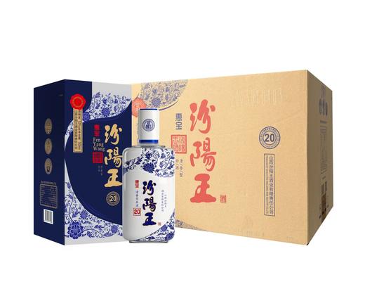 23年产 汾阳王 53度 惠宝20（500ml*6瓶） 商品图0