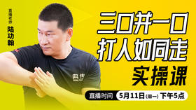 三口并一口，打人如同走——直播教学（陆师亲授）