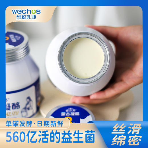 赛汗苏蒙古凝酪560g*4杯 商品图1