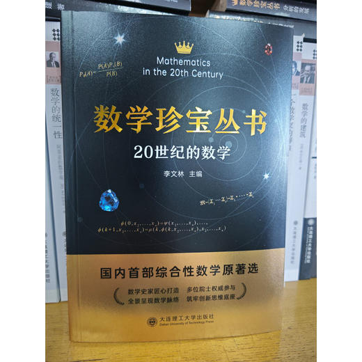数学珍宝丛书20世纪的数学 商品图1