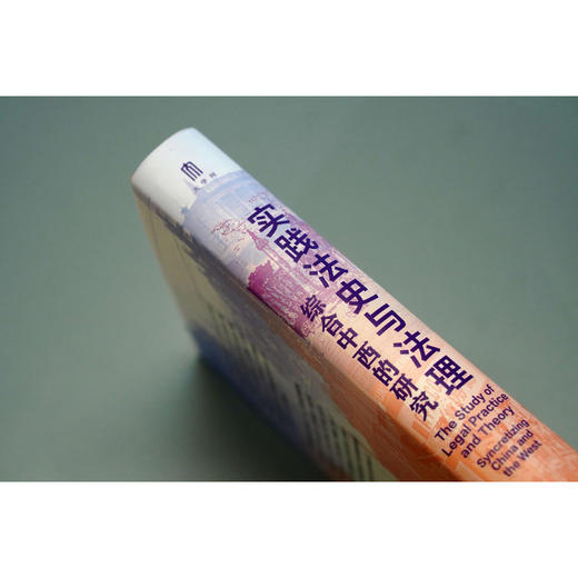 大学问·实践法史与法理：综合中西的研究（跳出西方理论框架，从实践看懂中国法律的过去与未来。） 商品图2