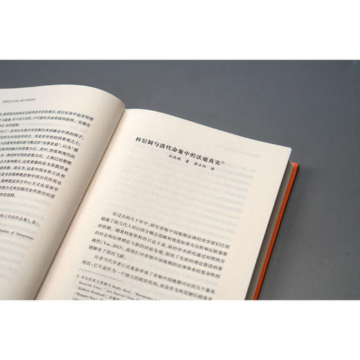 大学问·实践法史与法理：综合中西的研究（跳出西方理论框架，从实践看懂中国法律的过去与未来。） 商品图7