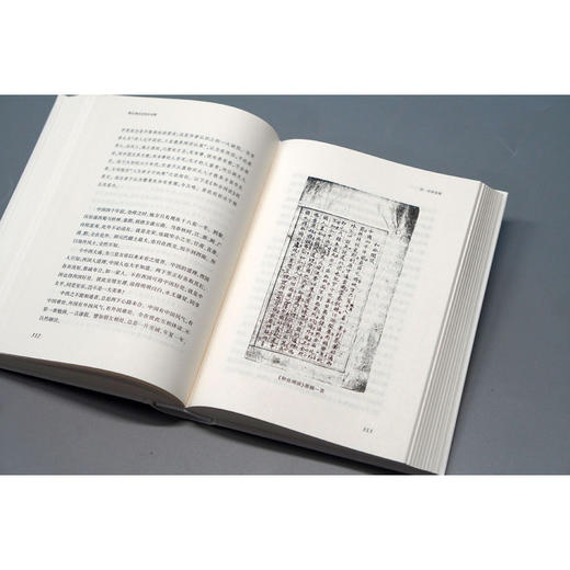 大学问·稀见清世史料并考释（于稀见史料中，发现历史细节） 商品图7