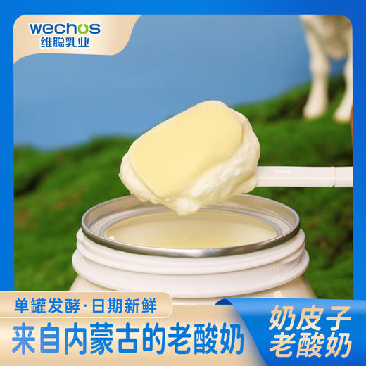 赛汗苏奶皮子老酸奶 200g/杯*8 商品图1