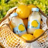 柚香谷宋柚乳酸菌口风味饮料 商品缩略图3