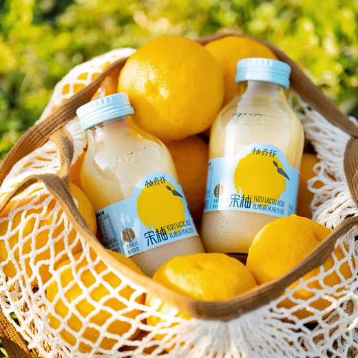 柚香谷宋柚乳酸菌口风味饮料 商品图3