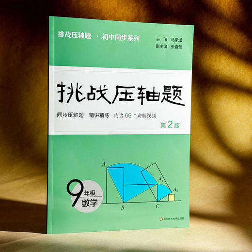 2026挑战压轴题·九年级数学 第2版 商品图1