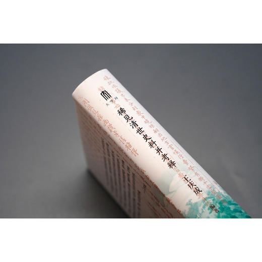 大学问·稀见清世史料并考释（于稀见史料中，发现历史细节） 商品图2